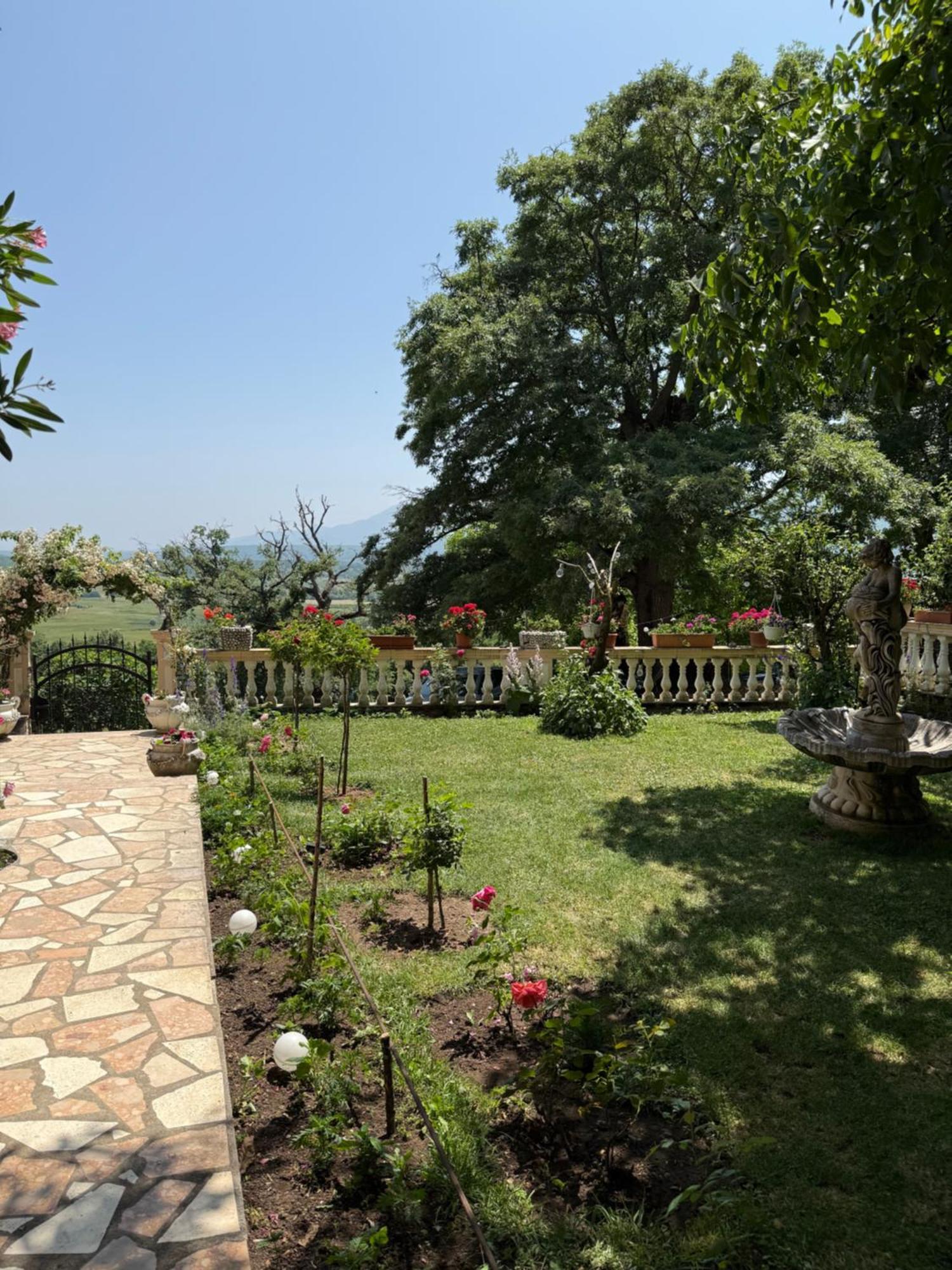 Ana Apartmán Vrlika
